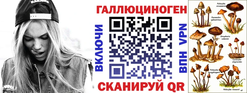 Псилоцибиновые грибы Cubensis  Кодинск 